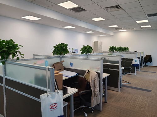 麗澤商務(wù)區(qū)晉商聯(lián)合大廈精裝修辦公室，采光優(yōu)越，隨時起租，配套網(wǎng)絡(luò)設(shè)備